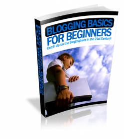 Blogging Basics For Beginners