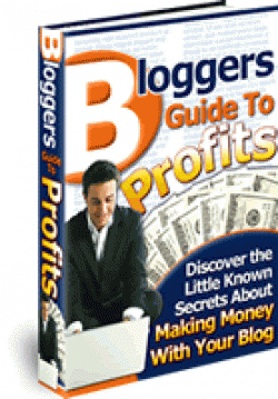Bloggers Guide To Profits